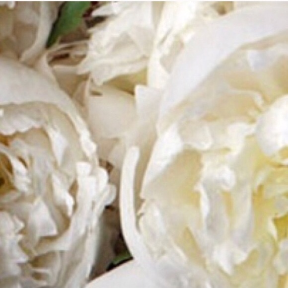 Casio Accessories - ❕watch for tvdaez